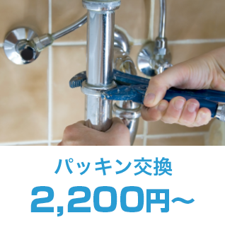 洗面所修理サービス1